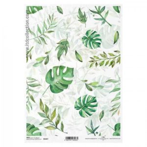 ryzovy papier na decoupage a4 monstera 1