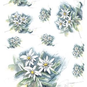 Rýžový papír A4  - Květiny a rostliny (R0902)