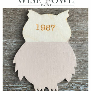 One Hour Enamel - Wise Owl Paint - barvy pro kuchyně, dveře, obložení.. 1987