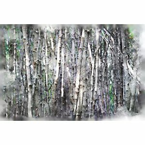 Woodlands Decor Weave 300x300 1