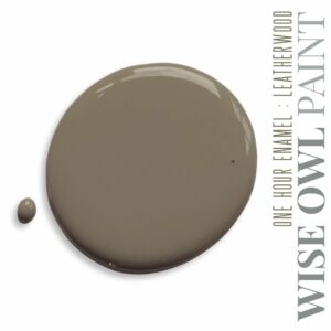 Leatherwood Wise owl paint