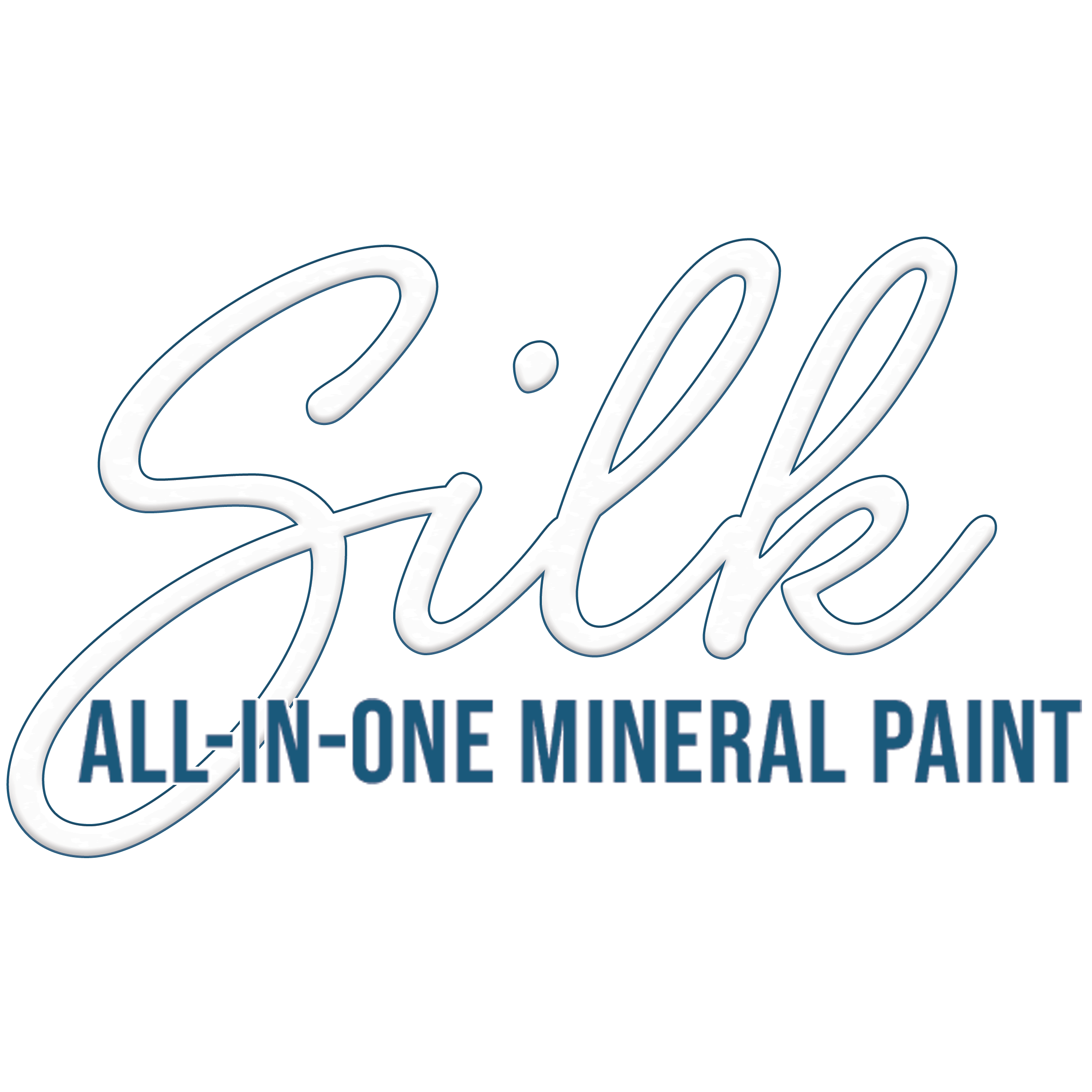 Silk Paint Logo