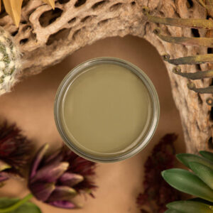 Cactus Dixie Belle  Silk All-In-One Mineral Paint® minerální barva