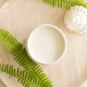 Endless Shore Dixie Belle  Silk All-In-One Mineral Paint® minerální barva