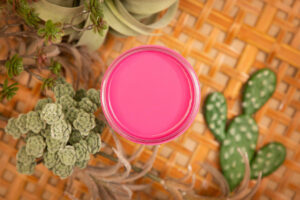silk all in one mineral paint prickly pear silk paint 1