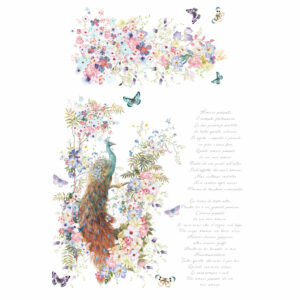 863227 Bellissimo LARGE TRANSFER 6 PIECE