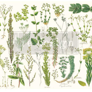 Decoupage paper - ReDesign with Prima Greenery