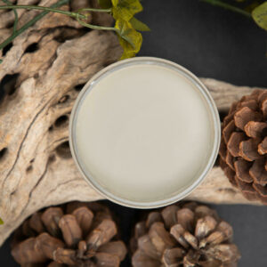 Dixie Belle křídová minerální barva - Dried Sage