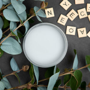 Dixie Belle křídová minerální barva - Manatee Gray