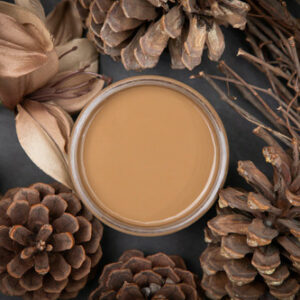 Dixie Belle křídová minerální barva - Pine Cone