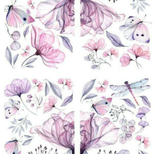 Transfer - Belles Whistles - Transcullent Garden