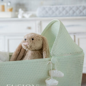 Little Speckled Frog FUSION Mineral Paint ™