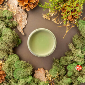 Dixie Belle křídová minerální barva - Weeping Willow