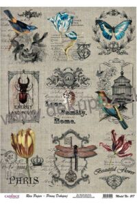 Ryzovy papir Cadence 217 A4 napisy ptaci kvety