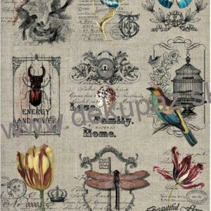 Rýžový papír A4 - 217 -Ptáci, nápisy, květy - Cadence