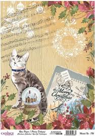 Ryzovy papir Cadence 786 kocka