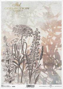 Ryzovy papir R1881 lucni k