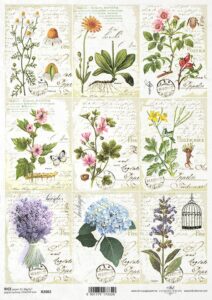 Ryzovy papir R2082 bylinky A4