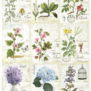 Rýžový papír A4   R2082- bylinky