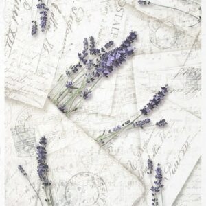 Rýžový papír A4  - květiny a rostliny (R0742)