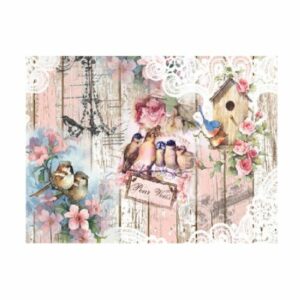 ryzovy papir Cadence 400 a4 ptacci na jare