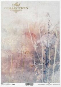 Ryzovy papir Itd. R1880