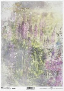 Ryzovy papir Itd. R1883