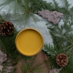 Yellowstone Dixie Belle  Silk All-In-One Mineral Paint® minerální barva