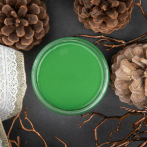 Dixie Belle křídová minerální  barva - Evergreen