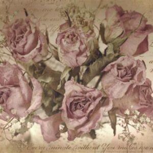 Decoupage paper A1- Belles and Whistles -Sepia Rose Song