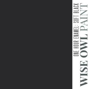 soft black wise one one hour enamel