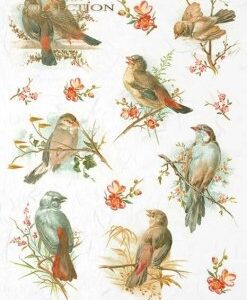 Rýžový papír A4- R1069