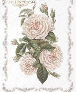 Rýžový papír A4- R1119