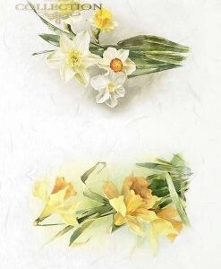 Rýžový papír A4- R1977