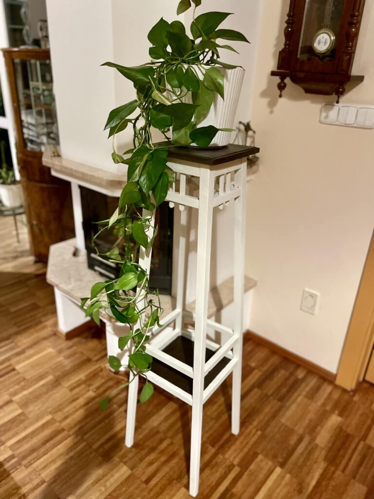 375888783 6528417753940612 3879455792681481003 n