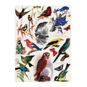 Rýžový papír A4  - 048 Cadence - Ptáci