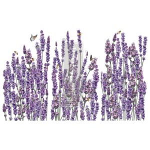 655350663391 Decor Transfers® Champs De Lavende vnovemkabatku