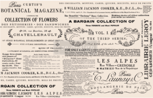 Redesign Decoupage Decor Tissue Paper Floral Text vnovemkabatku 1