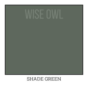 One Hour Enamel - Wise Owl Paint - barvy pro kuchyně, dveře, obložení... Shade Green - NOVINKA od 25.8.2024