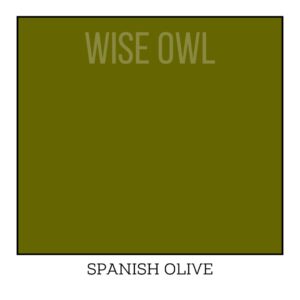 Spanish Olive Wise Owl V novem kabatku