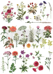 redesing Floral Collection